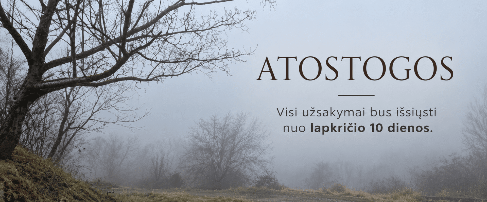 Atostogos iki lapkričio 10d. 