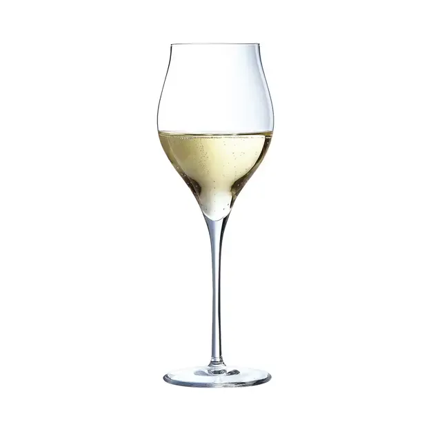 Putojančio vyno taurės Exaltation Chef&Sommelier 350ml 2