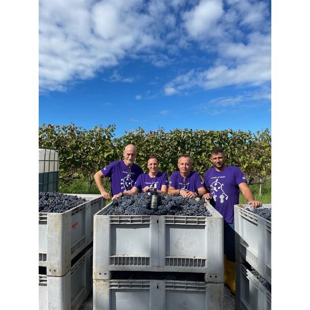 Bolgheri DOC Superiore "Atis" 3