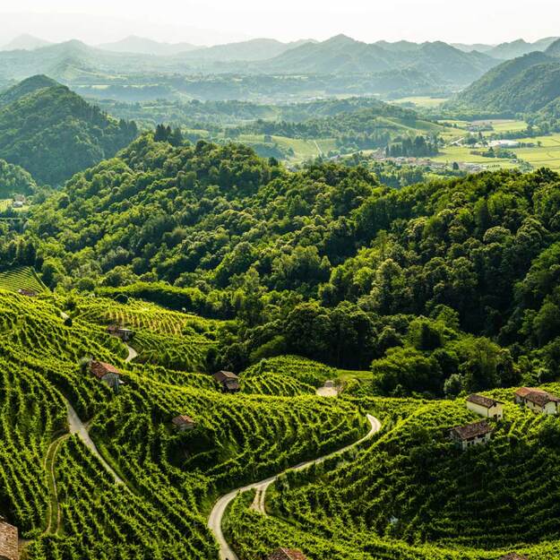 Brut Coste di Levante 1